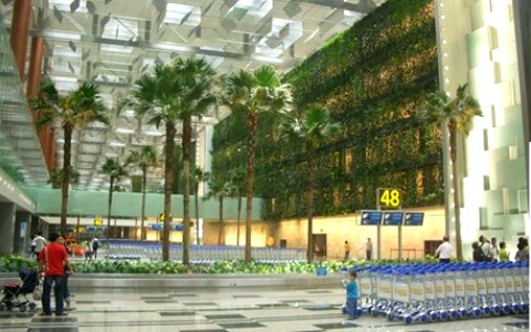 airport_green